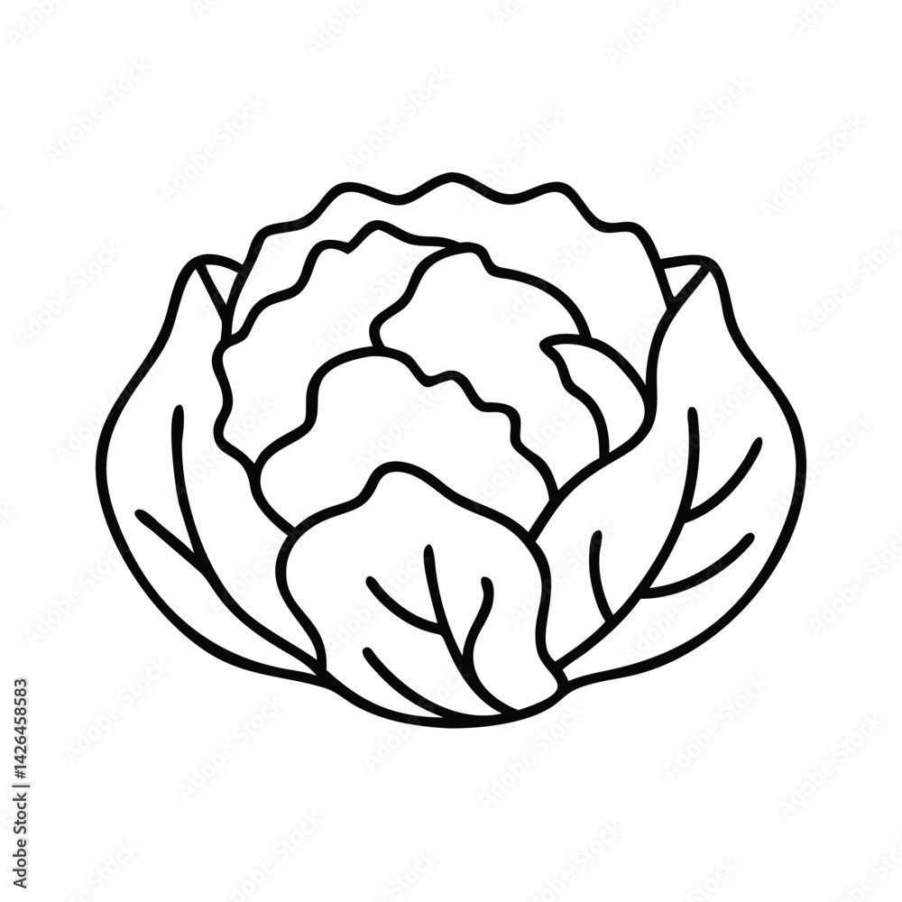 Outline of a Cabbage Vegetable in Minimalist Style Outline of a Cabbage Vegetable in Minimalist Style