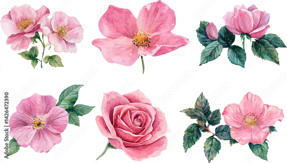 custom made wallpaper toronto digitalset of pink roses isolated on white