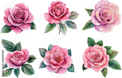 set of roses vector illustration