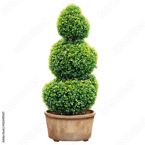 Topiary style green bush cut out image watercolor art illustration transparent background isolated png stock