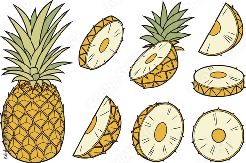 Hand Drawn Pineapple Clipart Set – Whole, Sliced, and Chopped Pieces