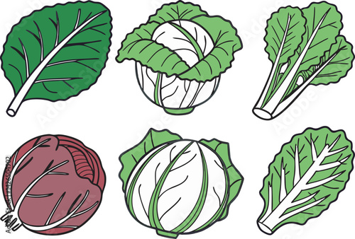 Cartoon Cabbage and Leafy Greens Set – Hand-Drawn Vegetable Clipart