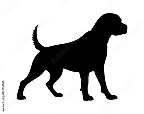 Silhouette of a walking dog, showcasing its strong build and confident stance