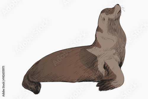 Sea Lion animal illustration vector