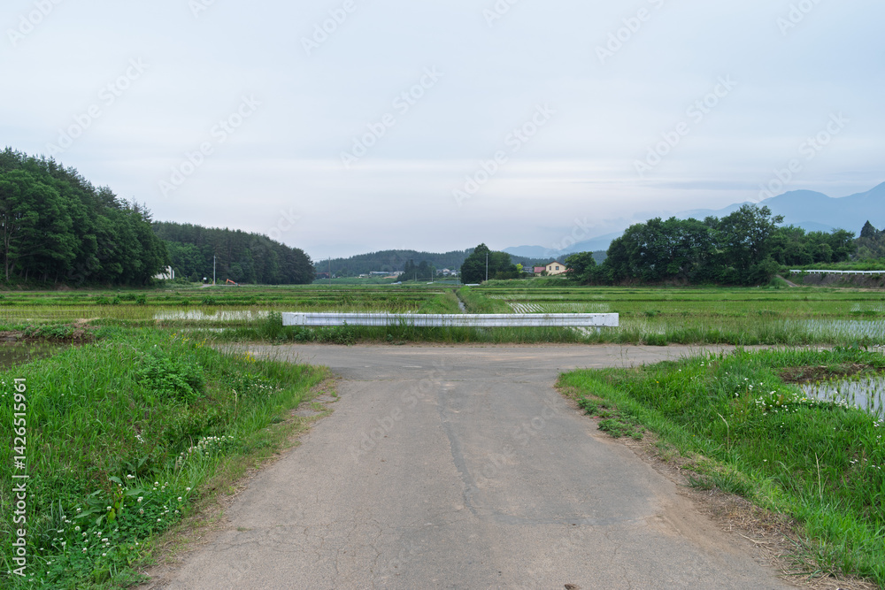 道 道