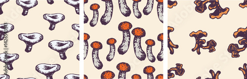 Seamless patterns of various drawn edible mushrooms, russula, birch boletes, chanterelles, vector backgrounds, paper, wallpaper, fabric