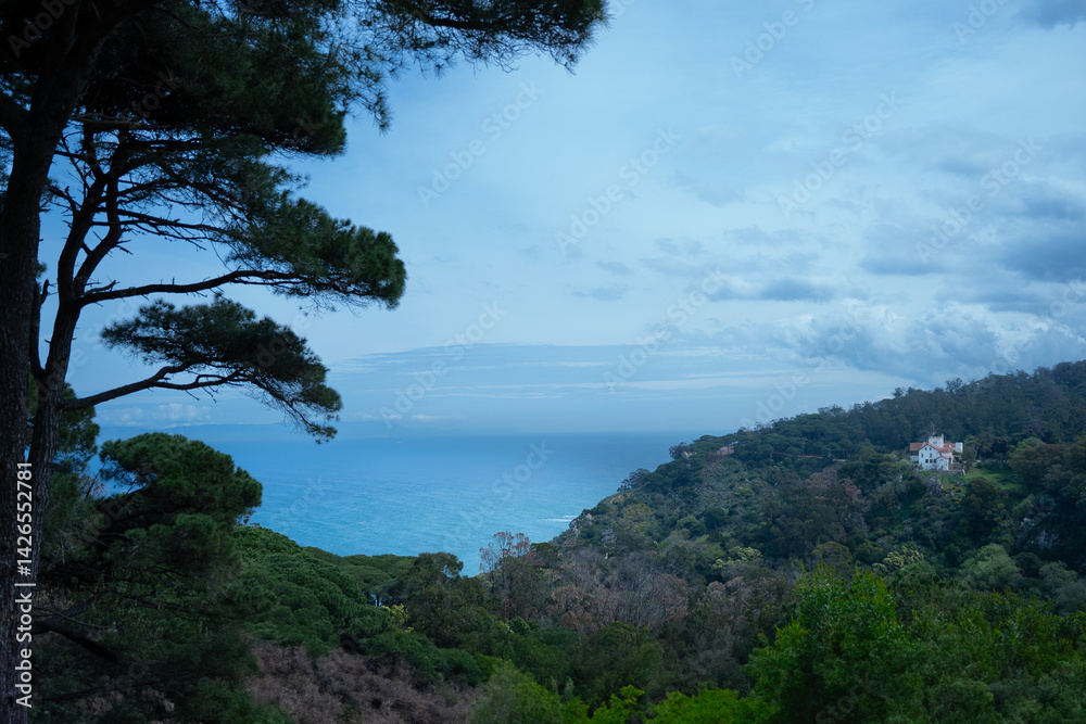 Fototapeta premium view of the sea from the mountain