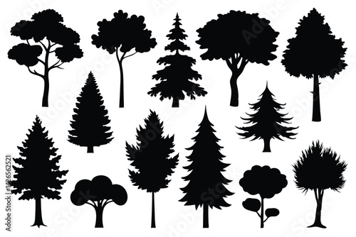 Vector silhouette of tree on white background.