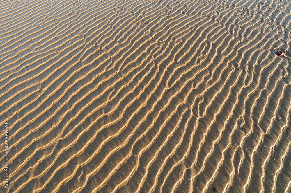 Beach patterns at low tide