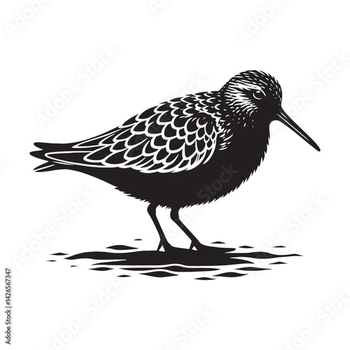 Dunlin Bird Silhouette - Minimalist Dunlin Vector - Dunlin Illustration - Black and White Dunlin Design.