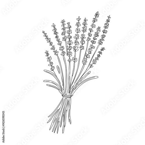 lavender