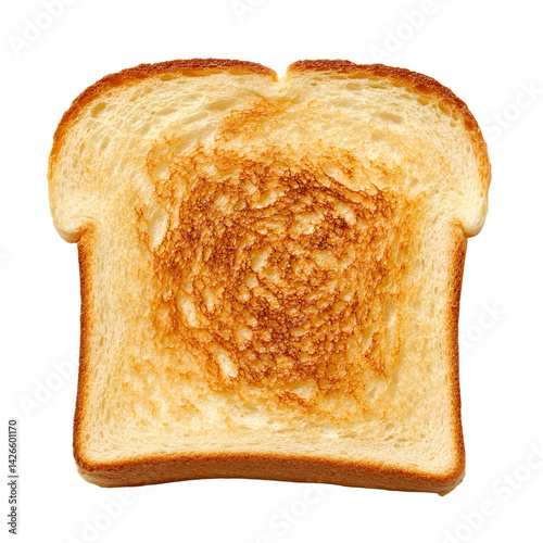 Single toasted bread slice closeup