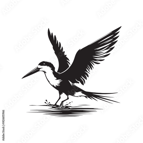 Black skimmer Silhouette - Black skimmer Art - Minimal Black skimmer Vector - Black skimmer illustration.