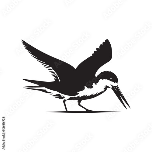 Black skimmer Silhouette - Black skimmer Art - Minimal Black skimmer Vector - Black skimmer illustration.