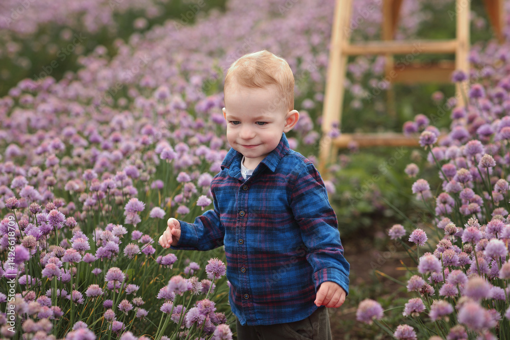 baby in a field of purple flowers baby in a field of purple flowers