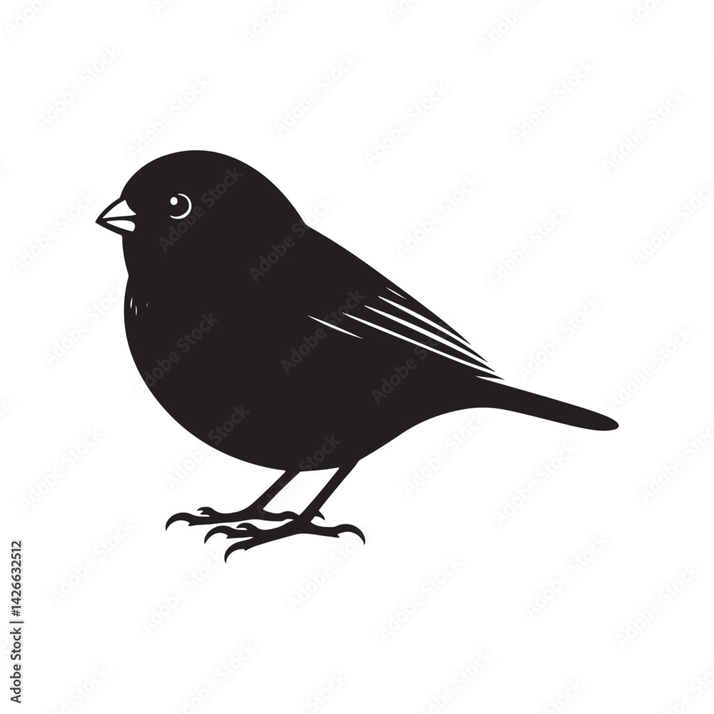 Fototapeta premium Dark-eyed junco Vector Silhouette - Black and White Dark-eyed junco Illustration - Dark-eyed junco bird art.