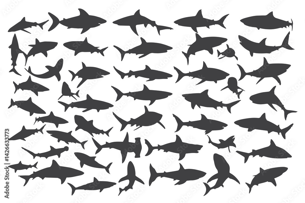 Shark silhouette vector illustration, various species of sharks, great white, hammerhead, bull shark, tiger shark, ocean predators, sea life, marine biology, underwater, fish, dangerous, carnivore Shark silhouette vector illustration, various species of sharks, great white, hammerhead, bull shark, tiger shark, ocean predators, sea life, marine biology, underwater, fish, dangerous, carnivore