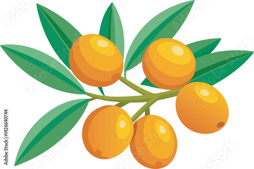 A vibrant vector illustration showcasing the delicious sea buckthorn fruit with its bright orange berries and natural appeal