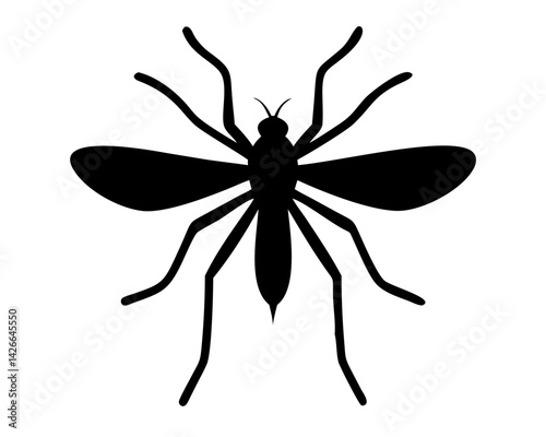 black Mosquito isolated on white background