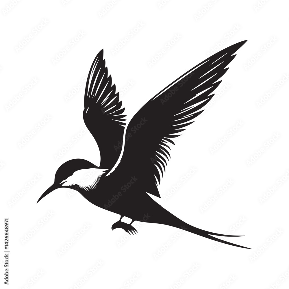 Obraz premium Common tern minimal Silhouette - Common tern Vector - Illustration of Common tern.