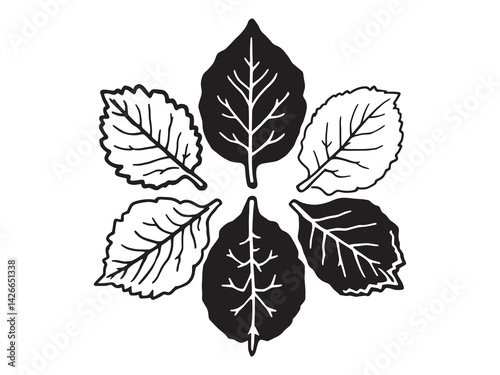Collard leaf line art illustration of organic vegetable design