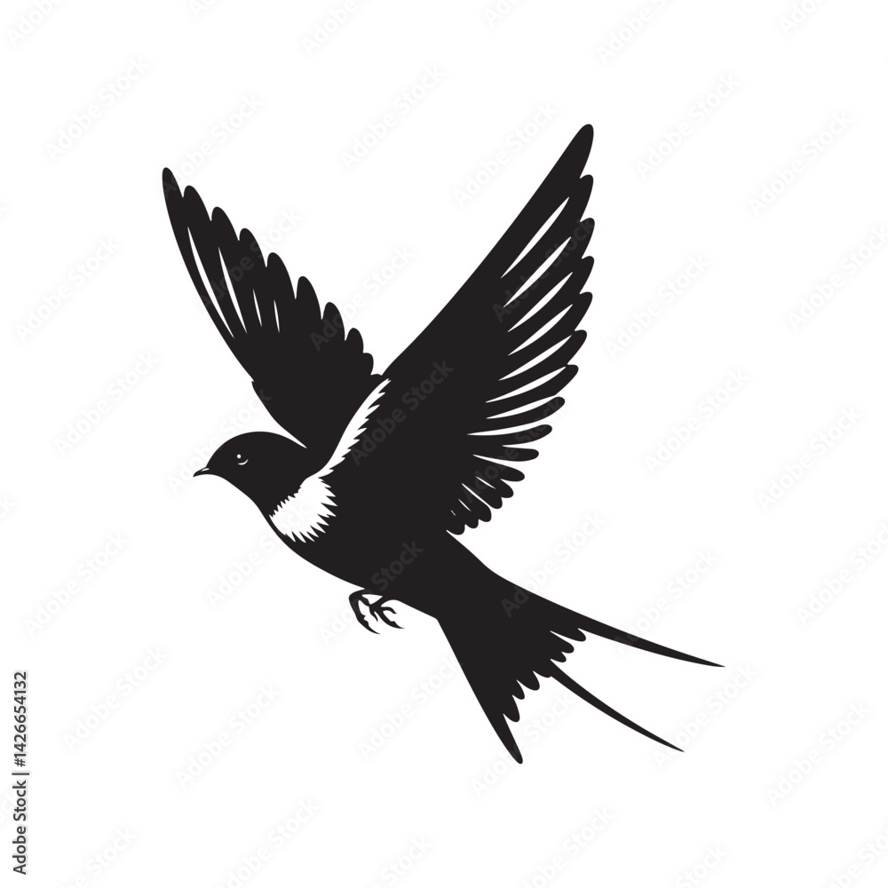 Fototapeta premium Common swift Bird Vector Silhouette - Common swift Design - Black and White Common swift Illustration.