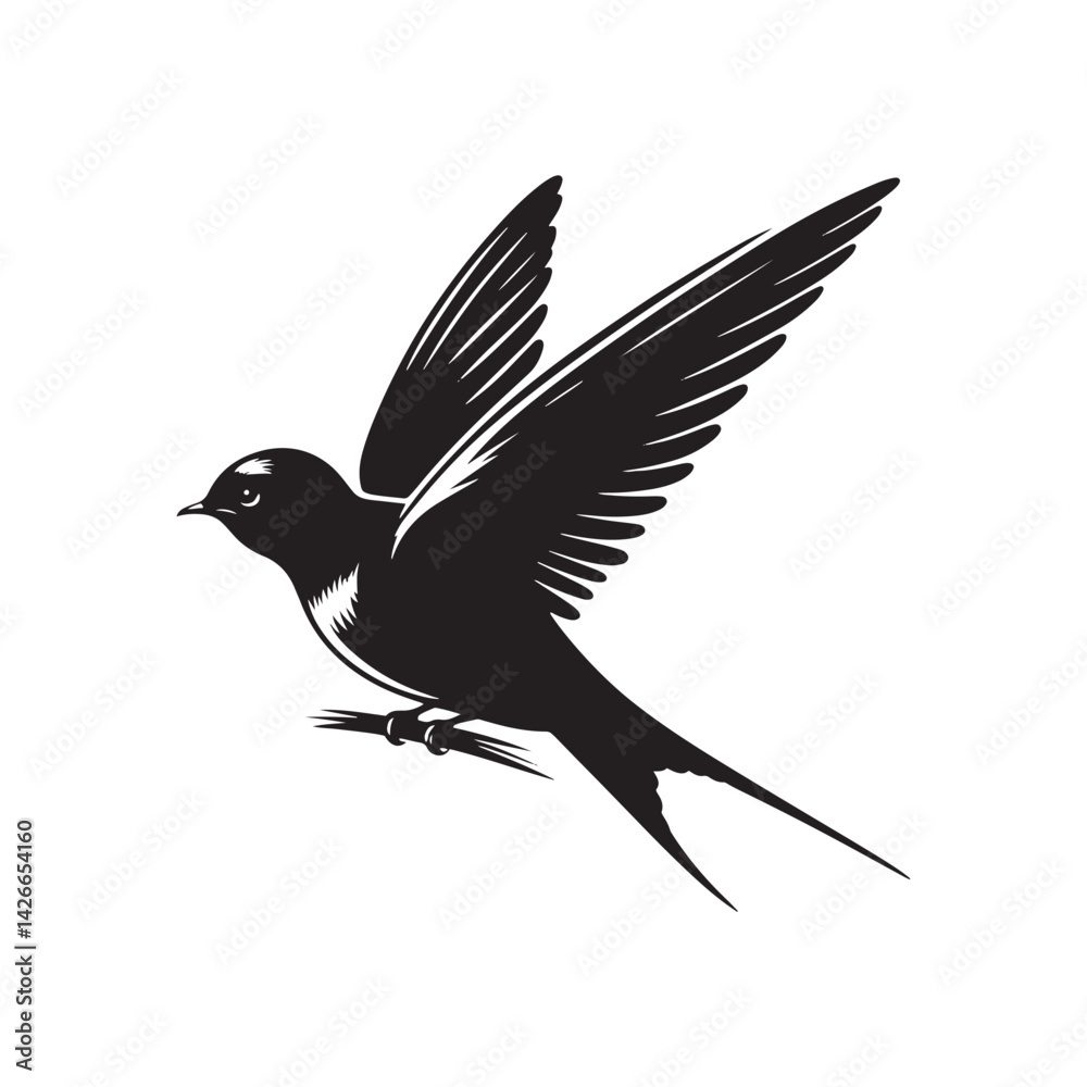 Fototapeta premium Common swift Bird Vector Silhouette - Common swift Design - Black and White Common swift Illustration.