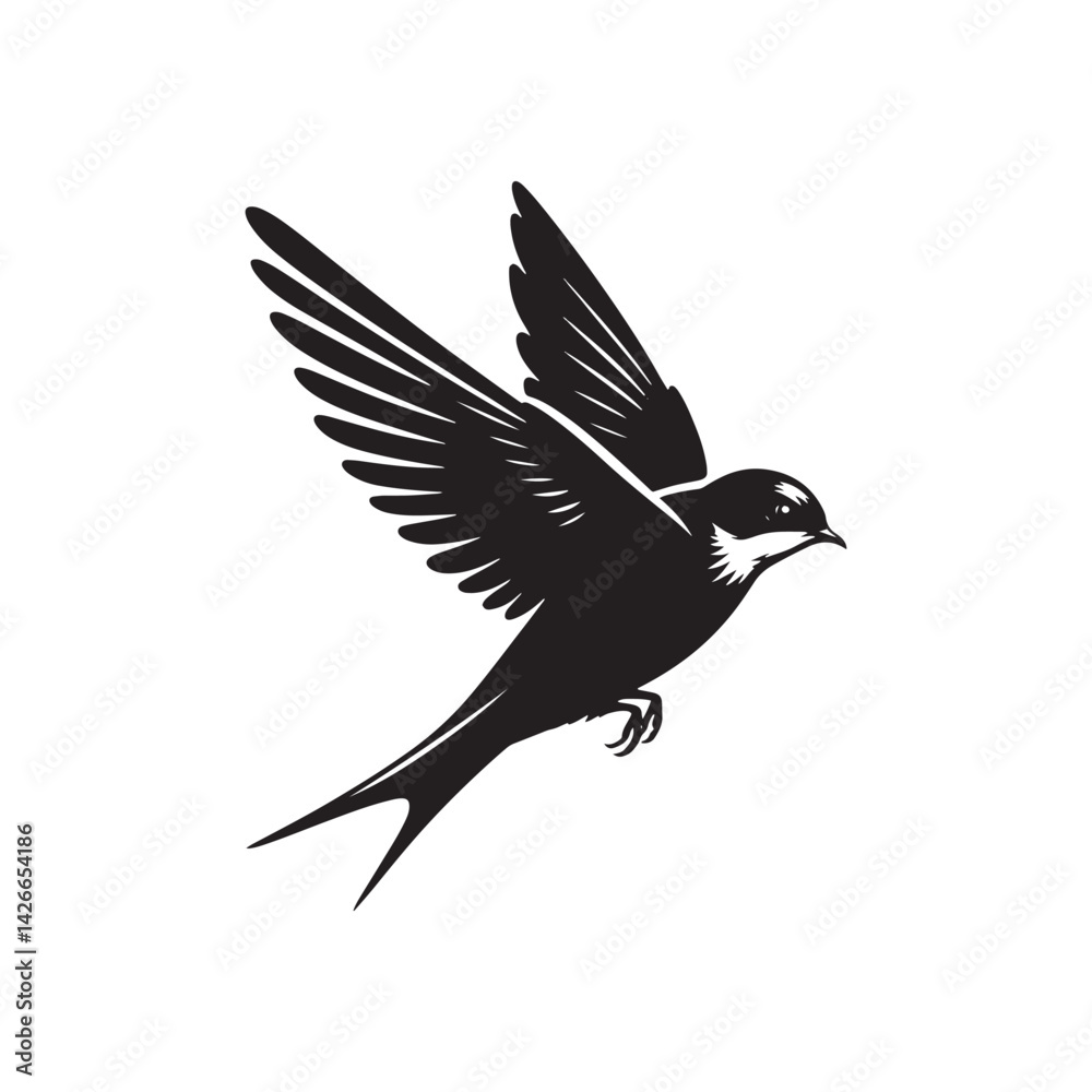 Common swift Bird Vector Silhouette - Common swift Design - Black and White Common swift Illustration. Common swift Bird Vector Silhouette - Common swift Design - Black and White Common swift Illustration.