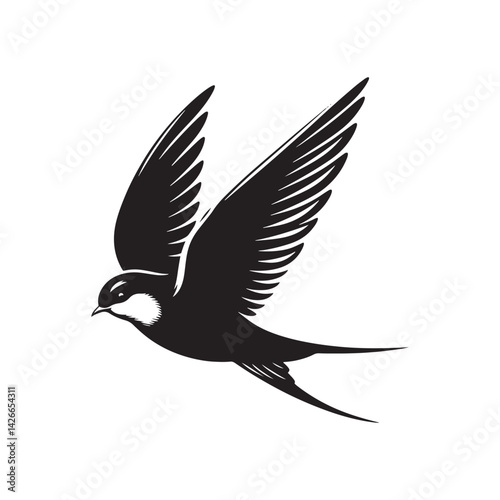 Common swift Bird Vector Silhouette - Common swift Design - Black and White Common swift Illustration.