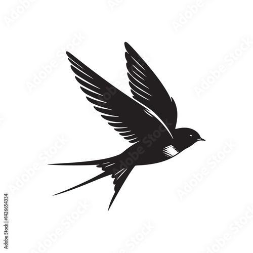 Common swift Bird Vector Silhouette - Common swift Design - Black and White Common swift Illustration.