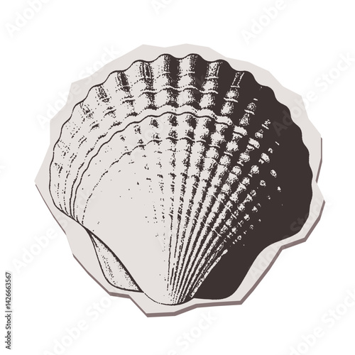 Seashell isolated torn put paper sticker in halftone collage style. Shell in sea, ocean or aquarium. Coastal wildlife, tropical conch, , sea life, underwater. Vintage vector illustration.