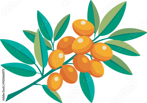 A vibrant vector illustration showcasing the delicious, nutrient-rich sea buckthorn fruit with its bright orange color and leaves.