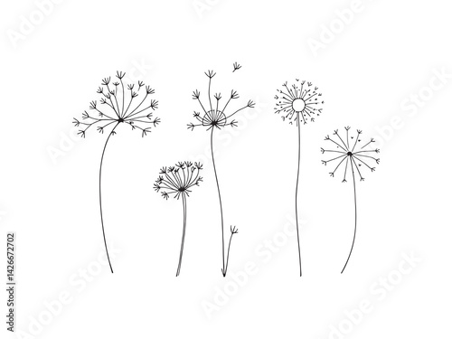 Dandelion leaf line art graceful and elegant nature drawing design