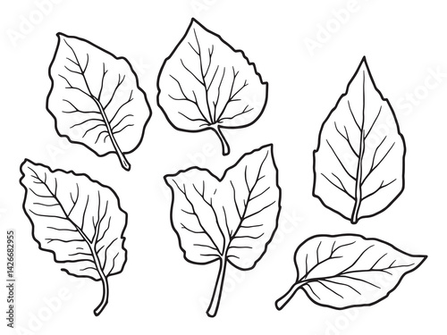 Dogwood leaf line art elegant sketch of a nature inspired design