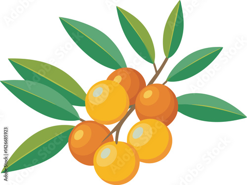 A vibrant vector art illustration showcasing the delicious and tangy sea buckthorn fruit, highlighting its bright orange berries.