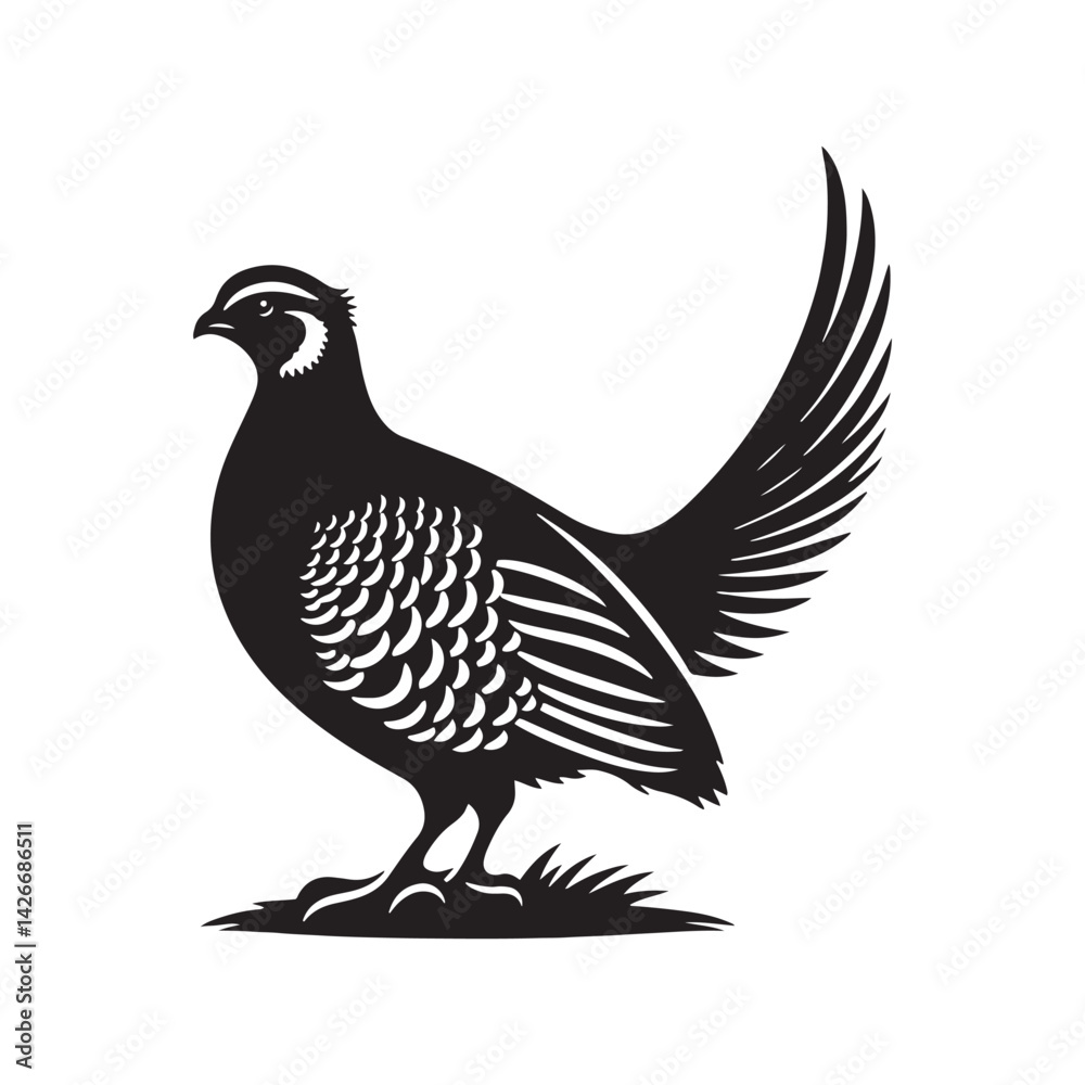 Fototapeta premium chukar Silhouette - Minimal Chukar bird vector - Chukar Bird Illustration - Chukar Bird art.