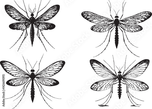 Mosquito silhouette vector EPS  SET