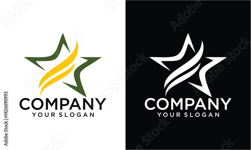 Creative Star Vector Logo Design Template