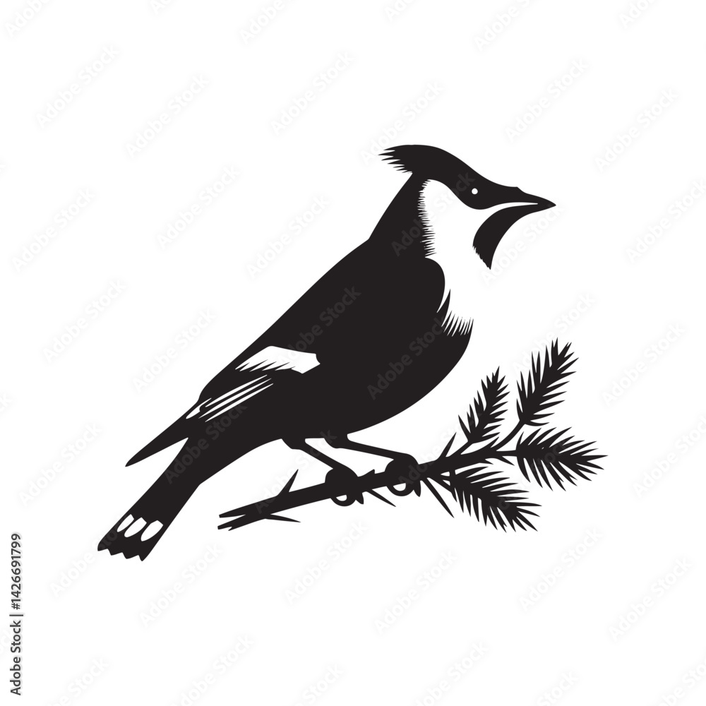 Obraz premium Cedar waxwing minimal Vector - Cedar waxwing Illustration - Silhouette of Cedar waxwing - Black and White Cedar waxwing art.