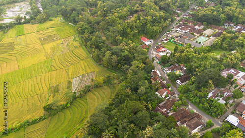 Aerial view of terraced rice fields in Kulon Progo, Yogyakarta, Indonesia photo