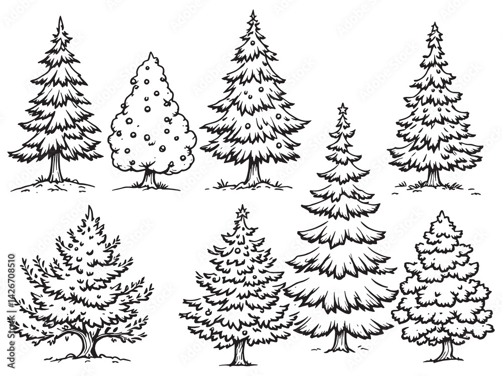 Obraz premium Fir line art nature sketch artistic minimalistic design concept