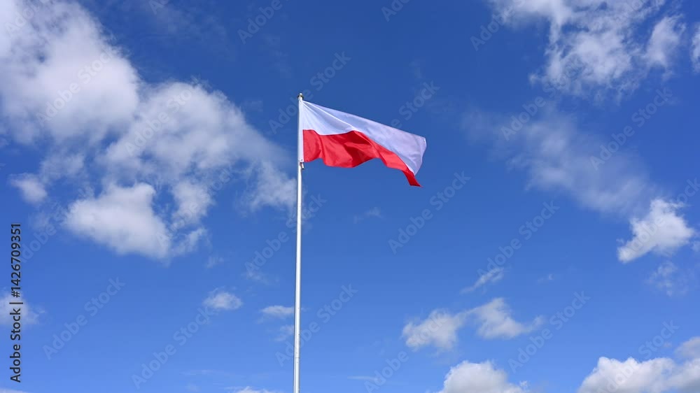 The Polish flag is hoisted and flutters in the wind against a blue sky with white clouds, 4K, real time