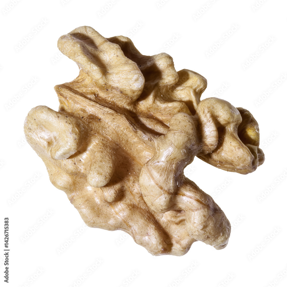 Kernel of a walnut (Juglans regia) features a wrinkled, brain-like structure. Rich in oils, proteins, and antioxidants, it serves as a nutrient-dense food source, valued for its distinctive flavor Kernel of a walnut (Juglans regia) features a wrinkled, brain-like structure. Rich in oils, proteins, and antioxidants, it serves as a nutrient-dense food source, valued for its distinctive flavor