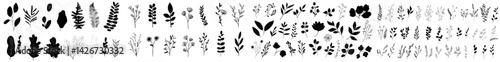 Vector illustration of various plant and leaf icons suitable for design and decoration