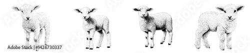 Vector illustration of multiple sheep in various poses displayed in a stylized manner for artistic use