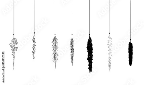 Decorative vector illustration of hanging plants in various styles and shapes, enhancing modern design aesthetics