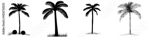 Artistic vector illustration of palm trees showcasing various forms and styles with a minimalistic black and white design for contemporary use