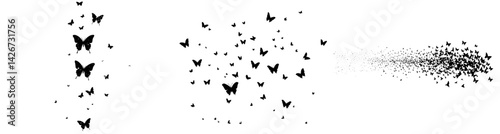 Butterfly silhouettes in black are depicted, along with outline butterflies for a romantic tattoo and tropical insects in stencil form