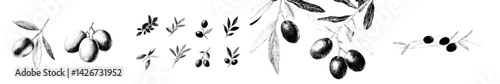 A hand-drawn vintage modern sketch of olive branches is presented in a drawing