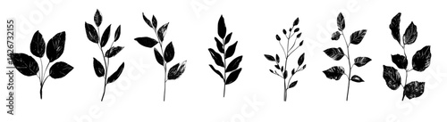 The collection of flowers in silhouette form includes Rose, Tulip, Daffodil, Sunflower, Daisy, Lily, Orchid, Peony, Hibiscus, Marigold, Violet, Poppy, Iris, Chrysanthemum, Carnation, Lavender,